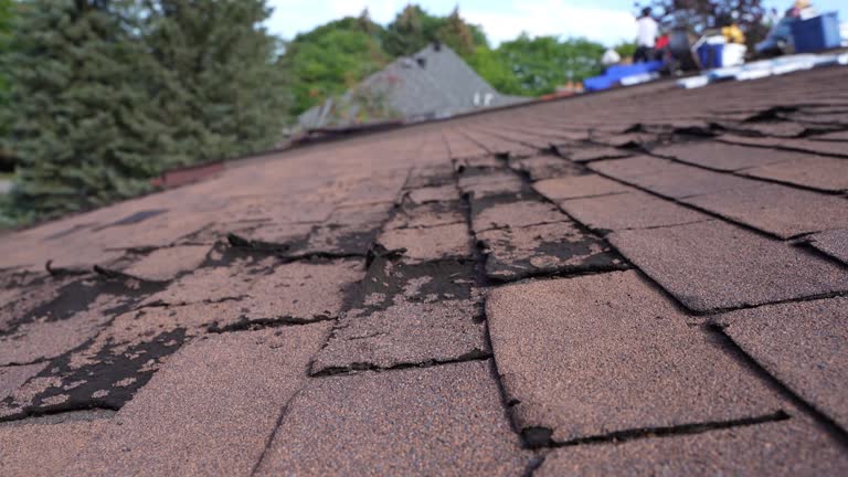 Best Solar Panel Roofing Installation  in Birmingham, AL