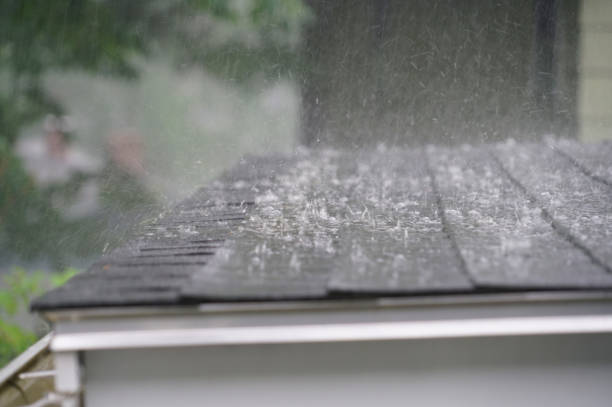 Best Roof Moss and Algae Removal  in Birmingham, AL